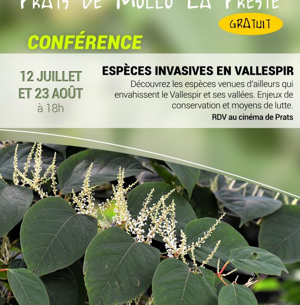 Conférence : &#8220;Espèces invasives en Vallespir&#8221;