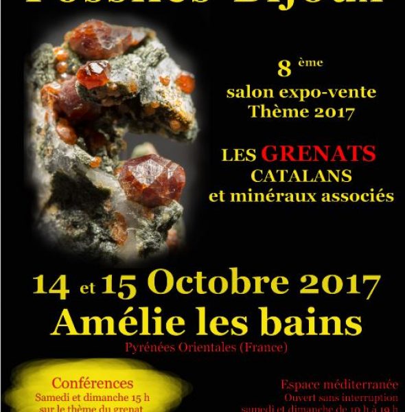 le salon de minéralogie d&#8217;Amélie-les-Bains 2017