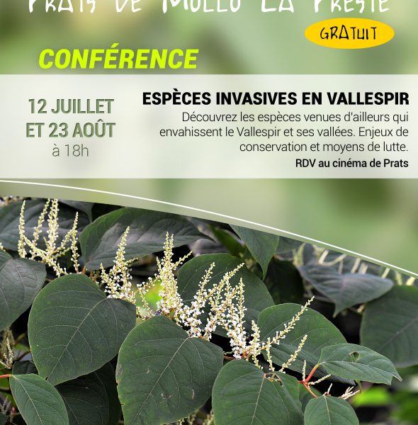 Conférence : &#8220;Espèces invasives en Vallespir&#8221;