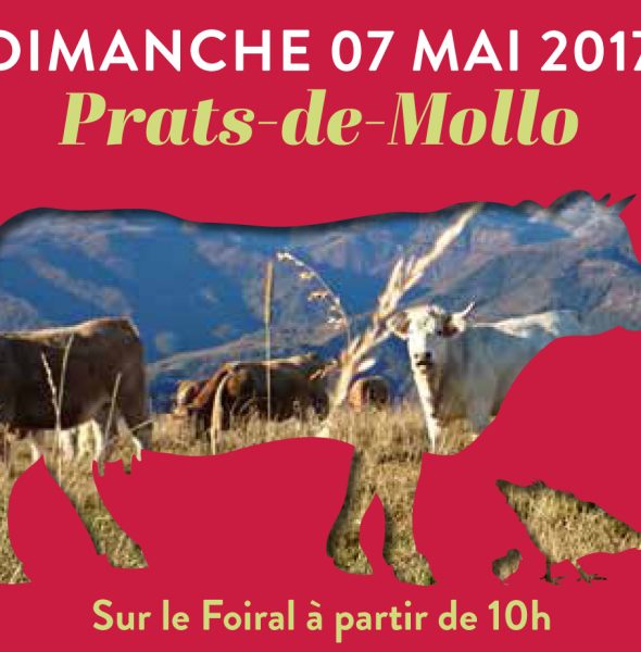 Foire des éleveurs 2017 à Prats de Mollo