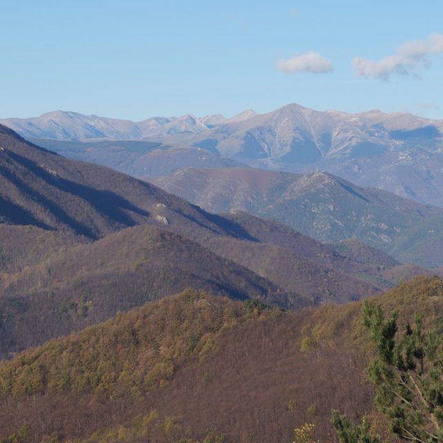 n°09 Puig Petit à Coustouges +