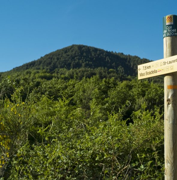 Randonnée de la Vallée Verte