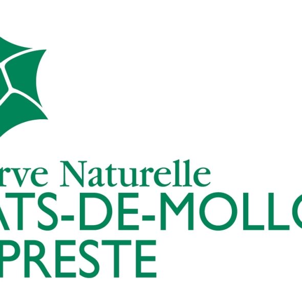 Balade à la découverte des insectes et papillons