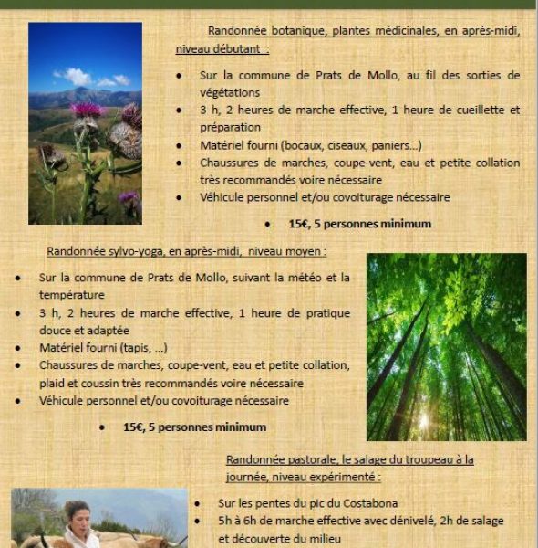 Les randonnées de Marion