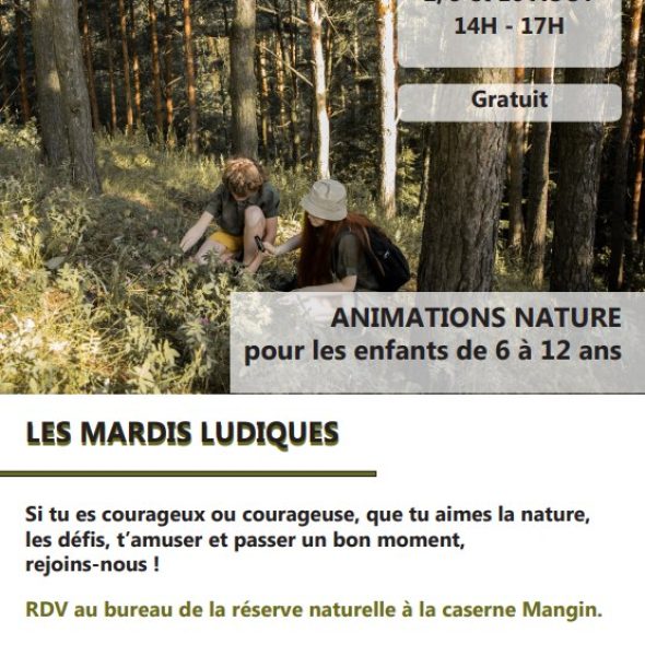 Les Mardis ludique