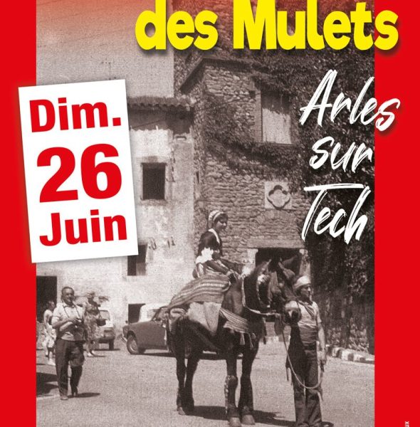 Bénédiction des Mulets