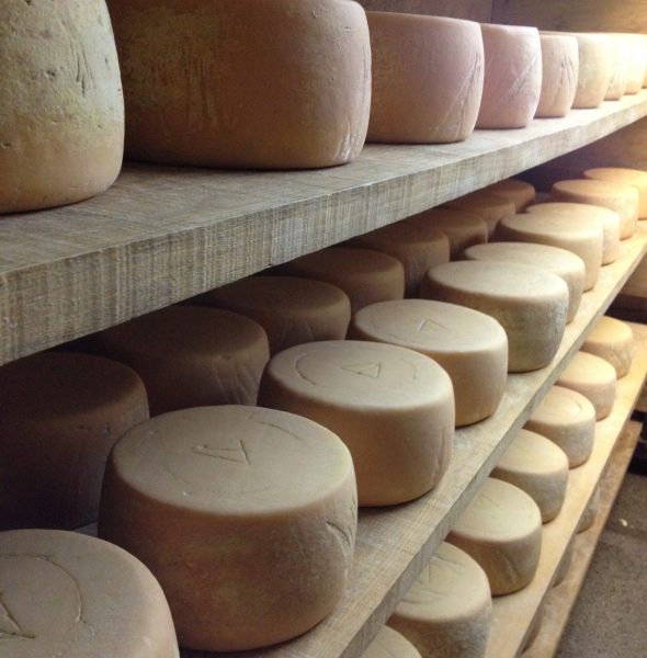 Fête des fromagers du Haut-Vallespir