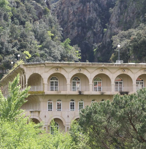 Animation commerciale