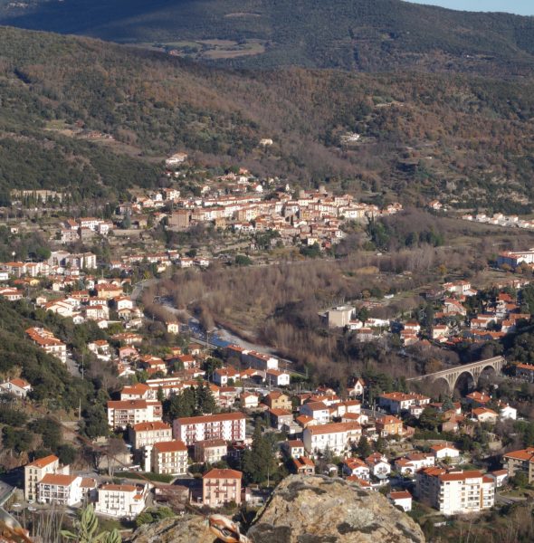 Les caprices de Cupidon