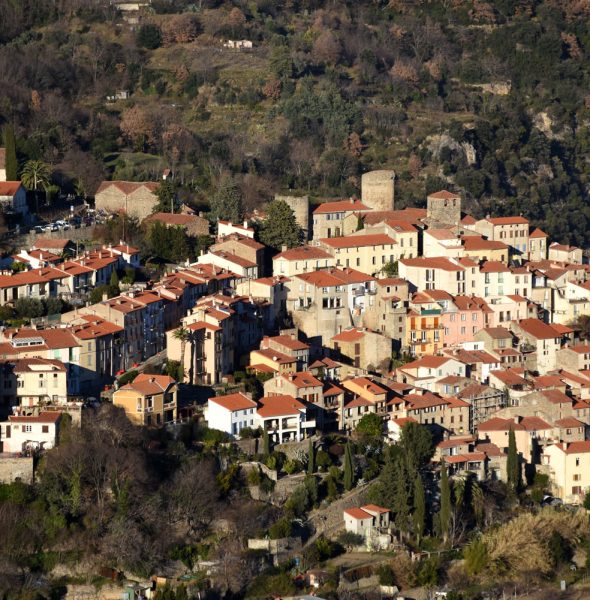 Soirée de soutien à “La protection animale Amélienne”