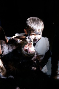 Fête de l'Ours Saint Laurent de Cerdans