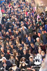 Fête de l'Ours 2016    