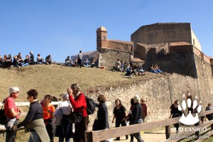 Fête de l'Ours 2016  