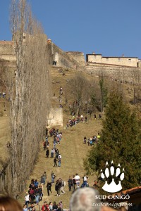 Fête de l'Ours 2016  